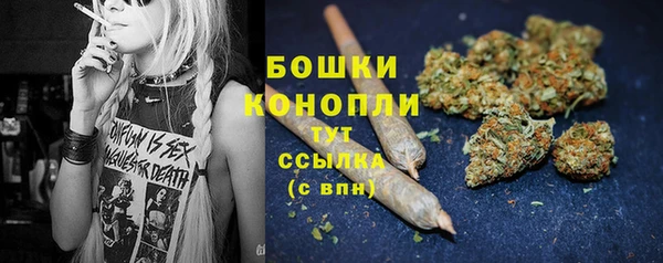 стаф Нефтекумск