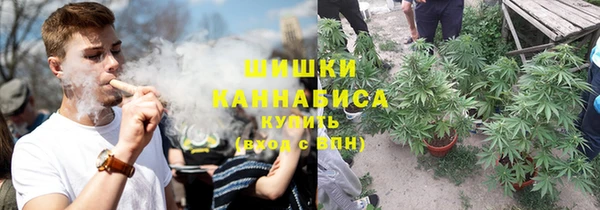 стаф Нефтекумск