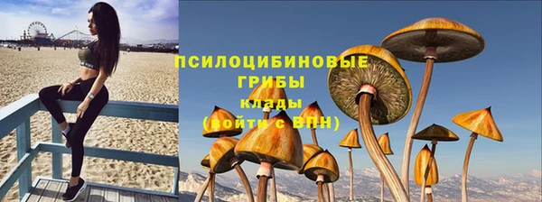 стаф Нефтекумск